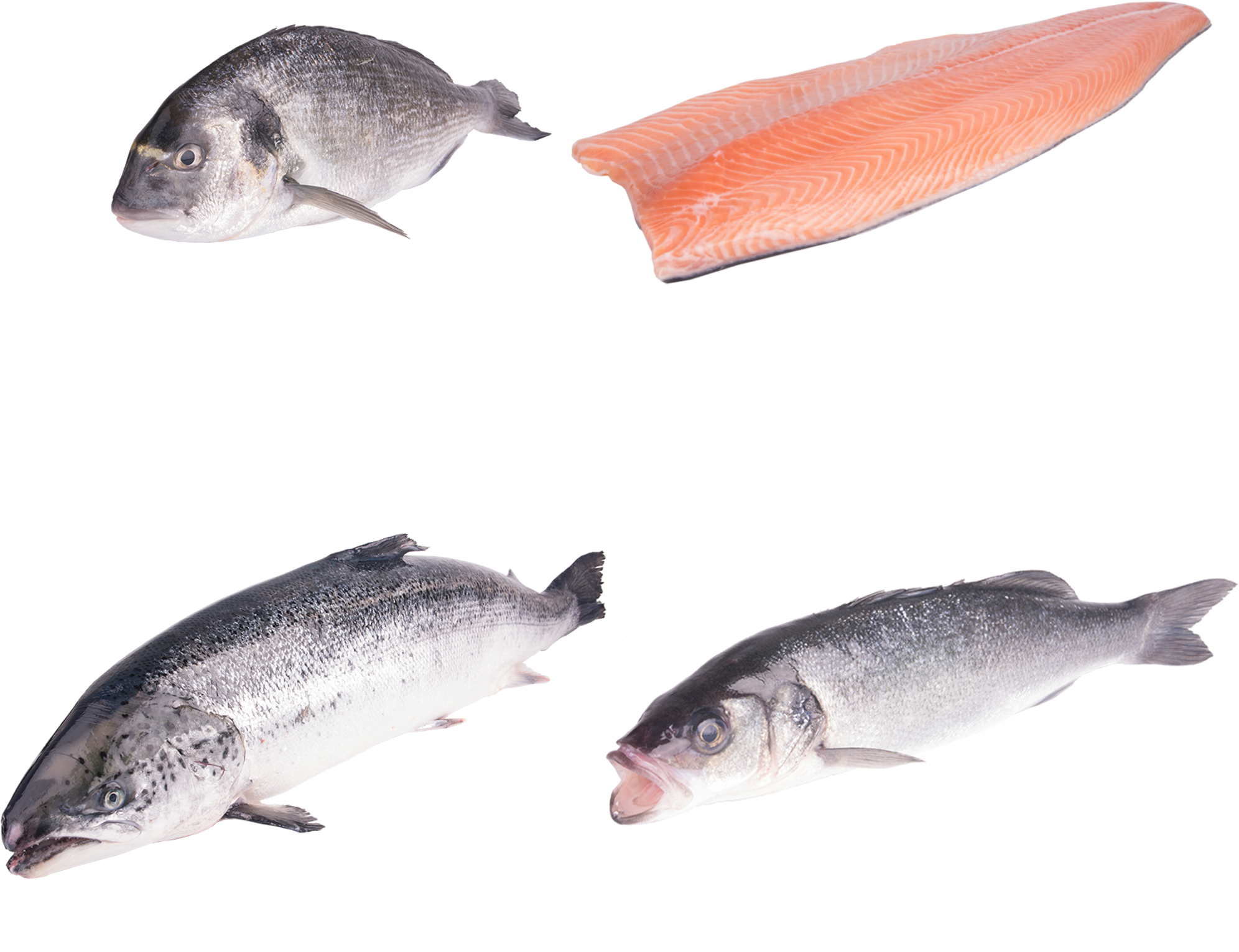 Farmed Fish - Touladi Clipart (2300x2300), Png Download