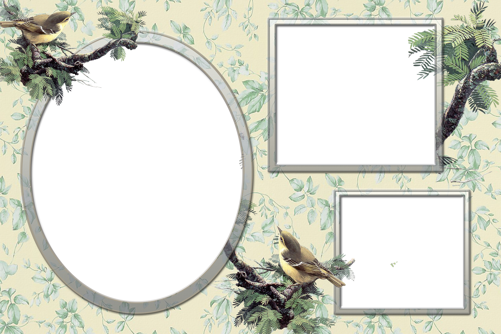 Three Photo Frame Png Clipart (1600x1067), Png Download