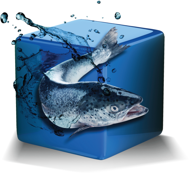 Seafood & Fishery - Grey Whale Clipart (850x850), Png Download