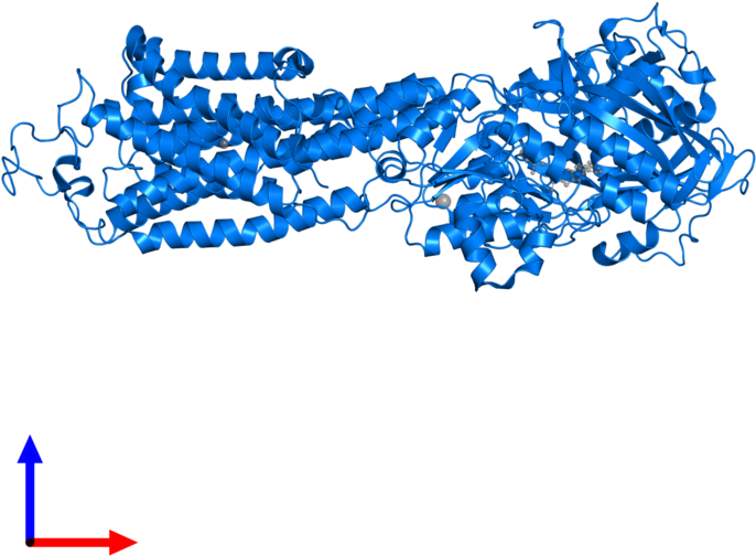 Clip Art - Png Download (800x800), Png Download