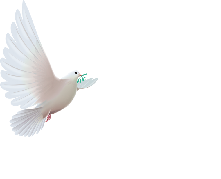 Logo Congreso Por La Paz - Pigeons And Doves Clipart (761x615), Png Download
