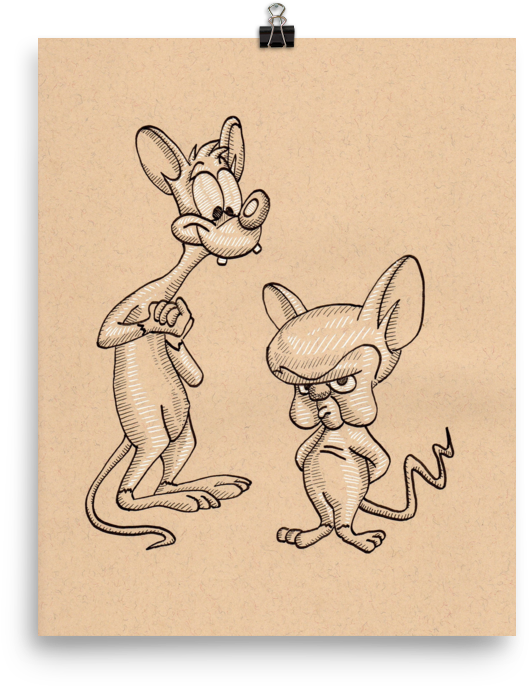 Wallaby Clipart (1000x1000), Png Download