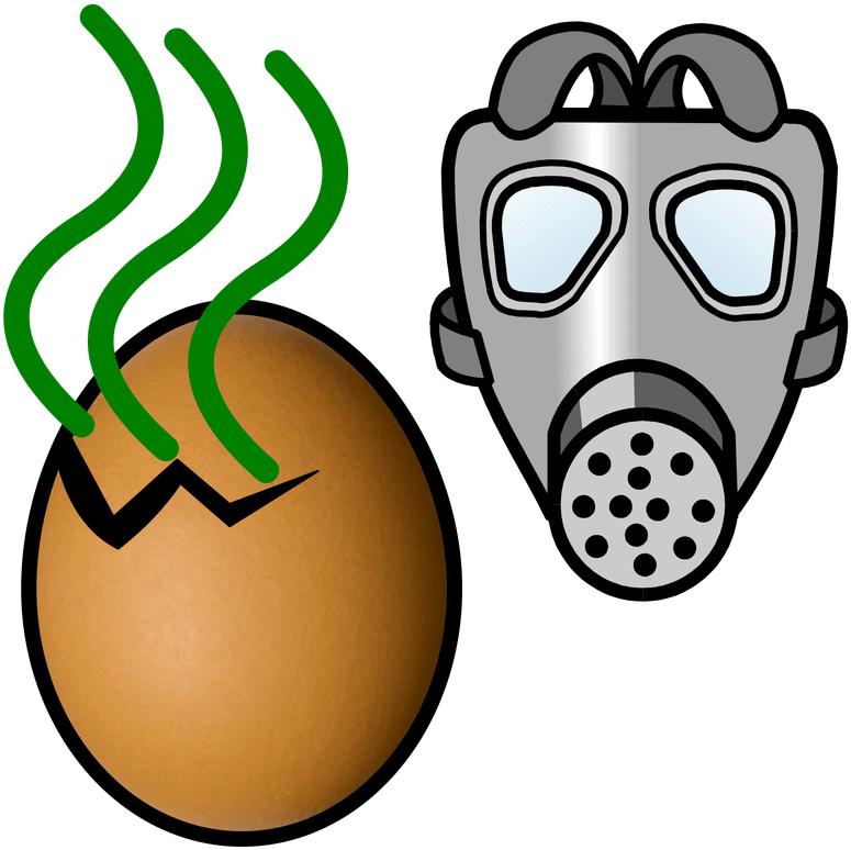 Rotten Egg Cliparts - Rotten Eggs Clipart - Png Download (800x800), Png Download