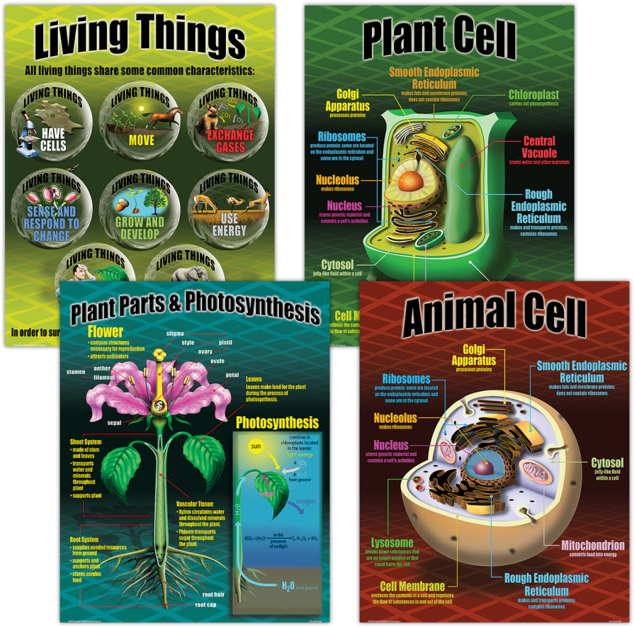 Tcrp077 Life Science Poster Set Image - Poster About Life Science Clipart (900x900), Png Download