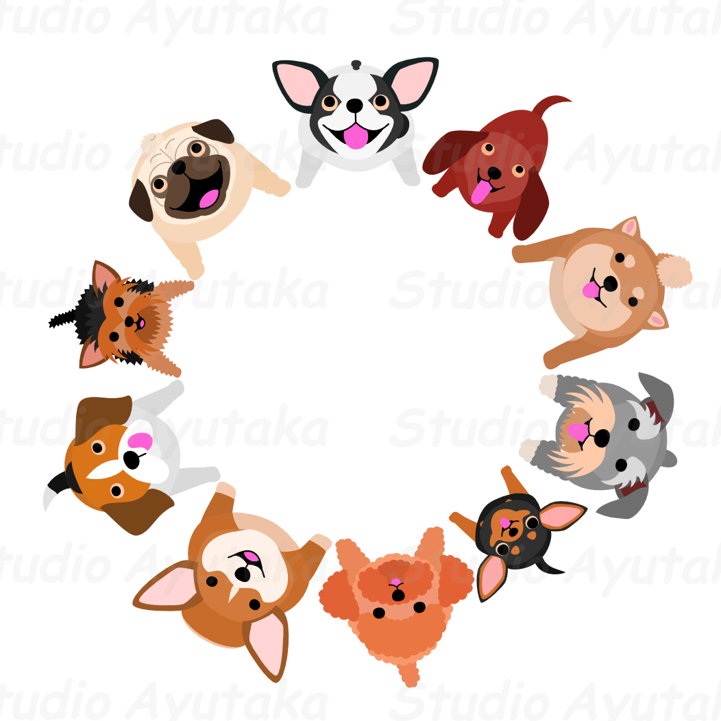 Sitting Small Dogs Looking Up Circle Studio Ayutaka - Dogs Looking Up Clip Art - Png Download (1052x1052), Png Download