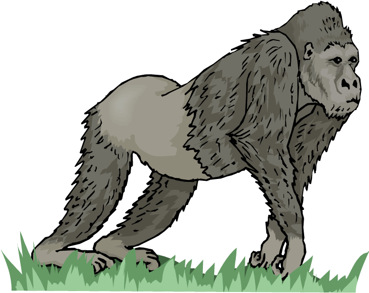 Free - Fauna Africa Para Colorir Clipart (750x630), Png Download