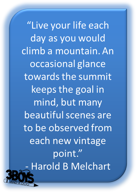College Life Quote 53898 - Quotes Clipart (507x702), Png Download