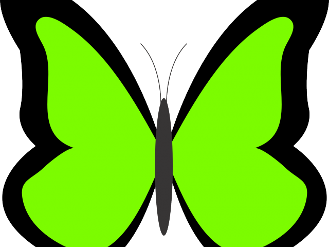 Rainbow Butterfly Clipart Png Format - Butterfly Clip Art Green Transparent Png (640x480), Png Download