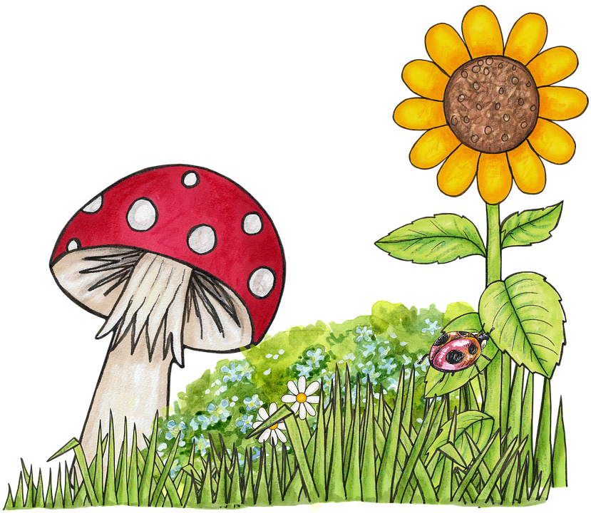 Toadstool Clip Art Free - Png Download (829x720), Png Download