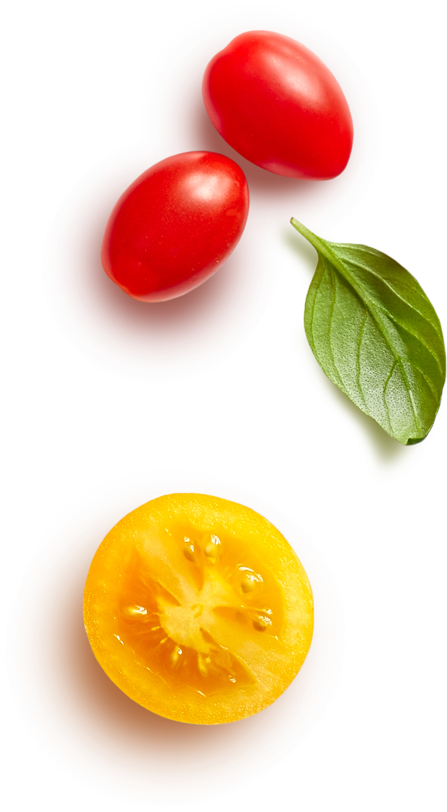 Back To Home - Plum Tomato Clipart (919x1669), Png Download