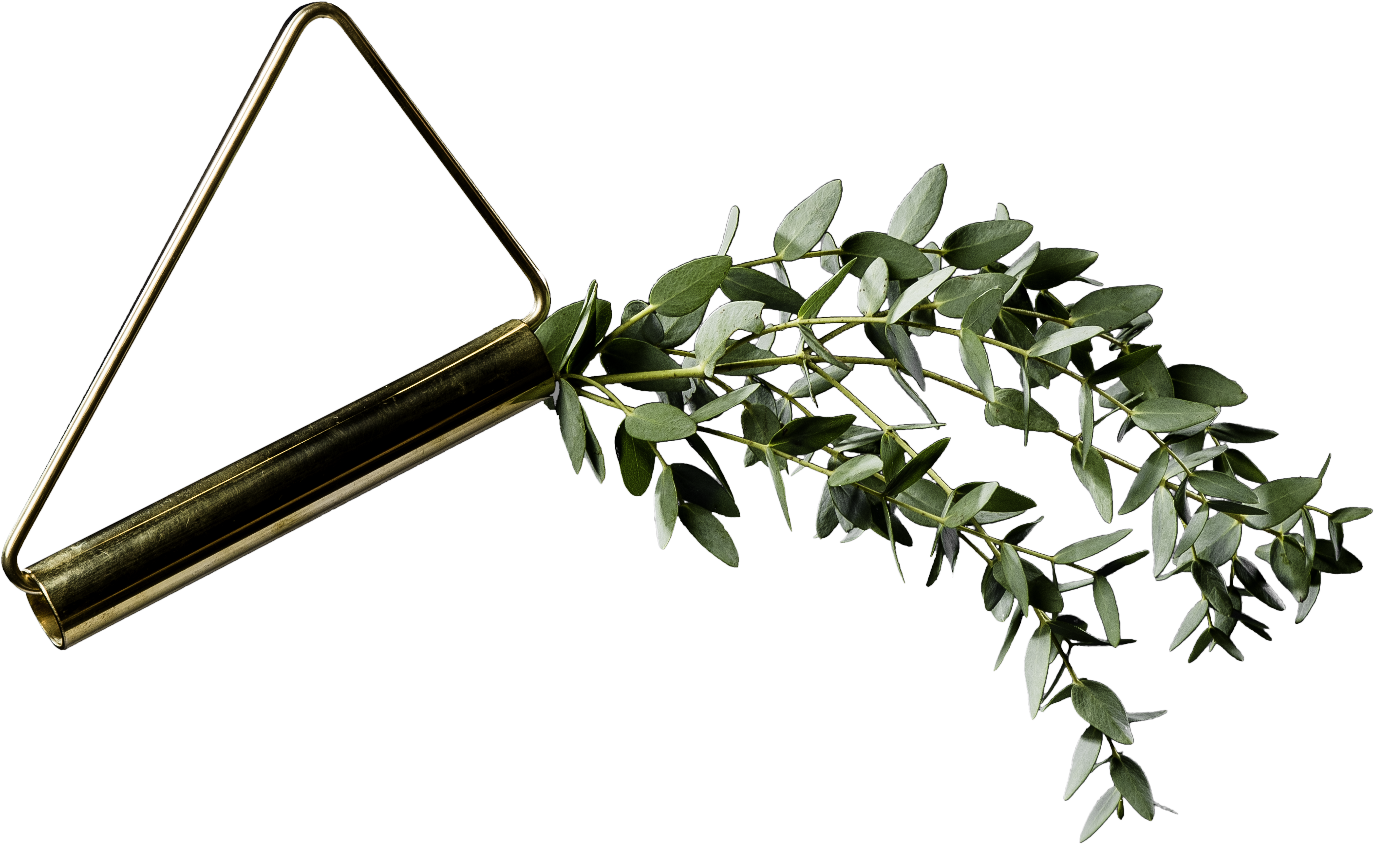 Wall Hanging Plants Png Clipart (4133x2759), Png Download