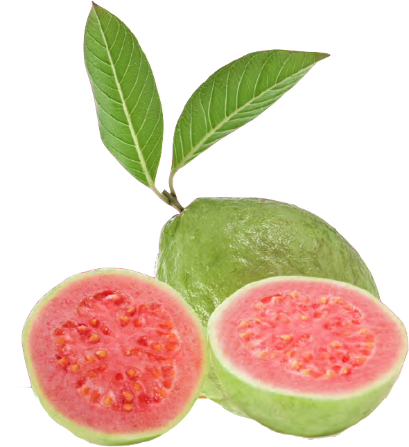 Guava Tone And Glow - Strawberry Guava Clipart (810x733), Png Download