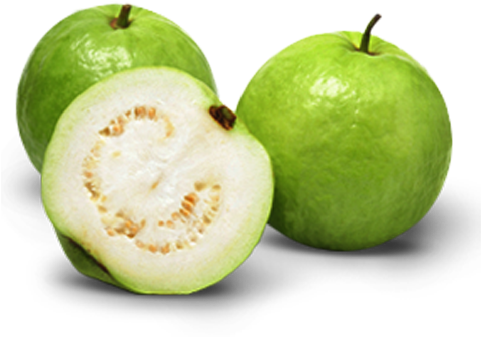 Indian Guava , Png Download - Allahabad Safeda Variety Of Guava Clipart (956x671), Png Download