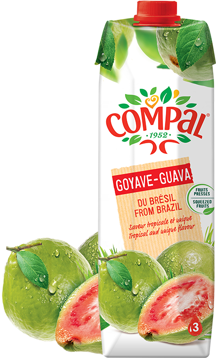 Compal Guava Clipart (756x828), Png Download