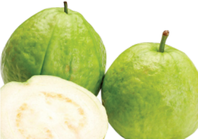 Big Guava Fruit Clipart (640x480), Png Download