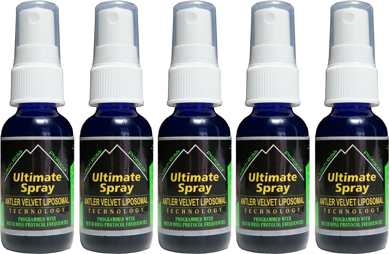 Deer Antlers Png - Bottle Clipart (1361x890), Png Download