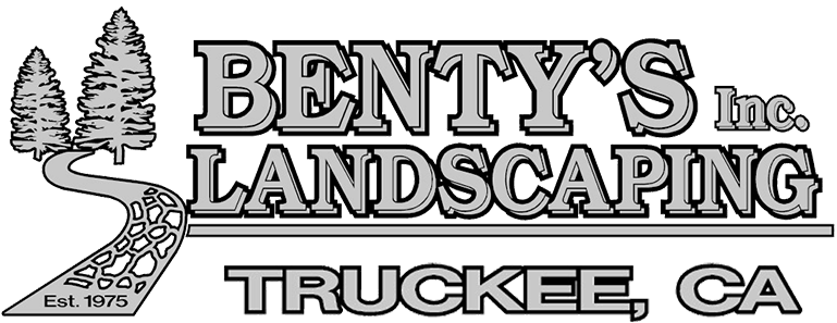 Benty's Landscaping In Truckee, - Calligraphy Clipart (884x375), Png Download