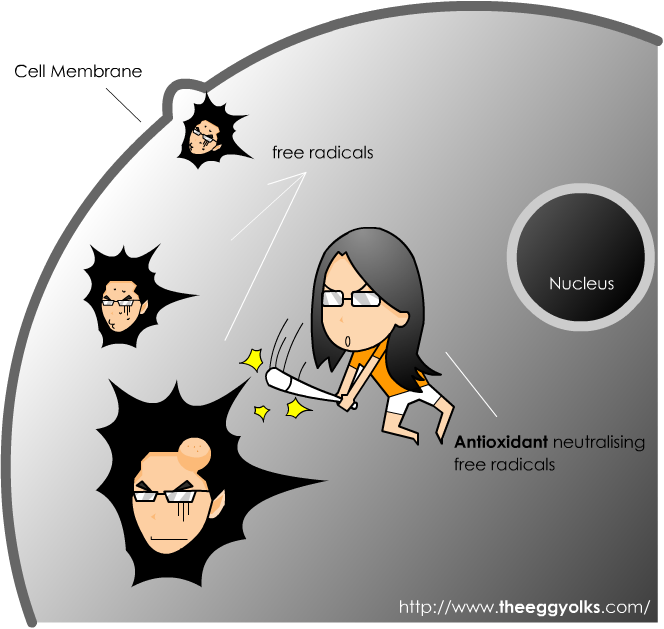 Collagenmax Bright Doesn't Only Helps You To Restore - Cartoon Clipart (664x629), Png Download