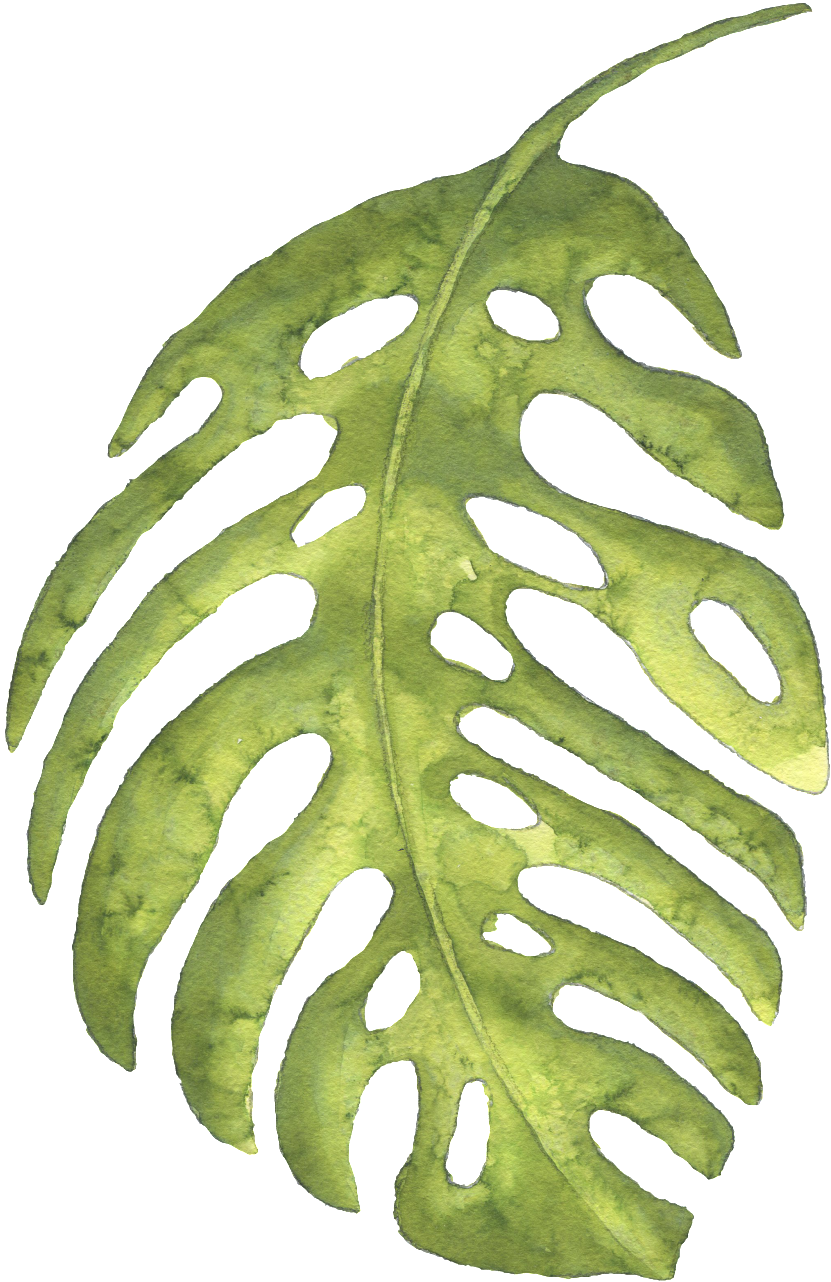 Este Gráficos Es The Green Banana Leaves Large Hand-painted - Watercolor Painting Clipart (831x1282), Png Download