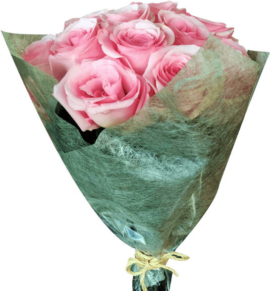 Diy 12 Light Pink Roses Bouquet Magnaflor - Garden Roses Clipart (600x600), Png Download
