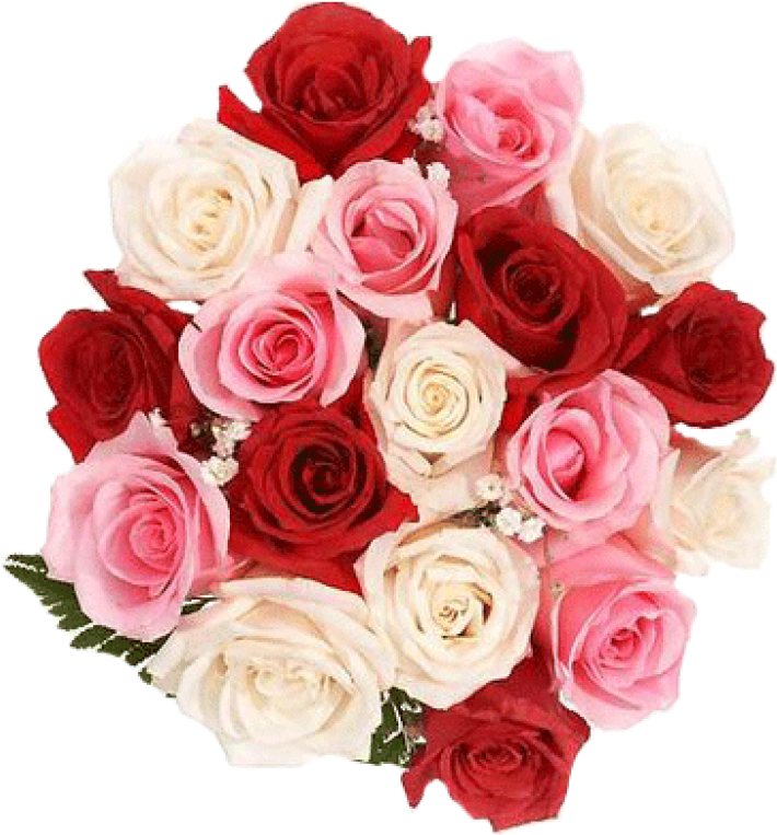 Go To Image - Red White And Pink Rose Bouquet Clipart (780x975), Png Download