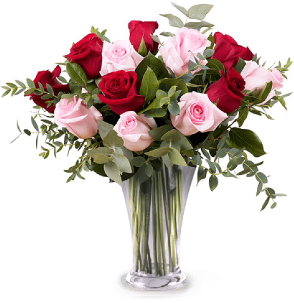 12 Red And Pink Roses - Blommor Alla Hjärtans Dag Clipart (600x600), Png Download