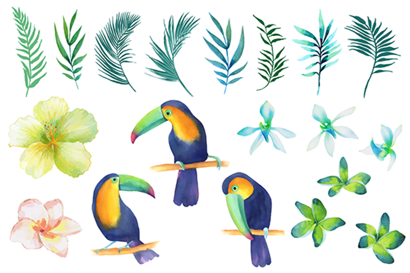 Birds And Leaves Elements S689 - Watercolor Painting Clipart (800x800), Png Download
