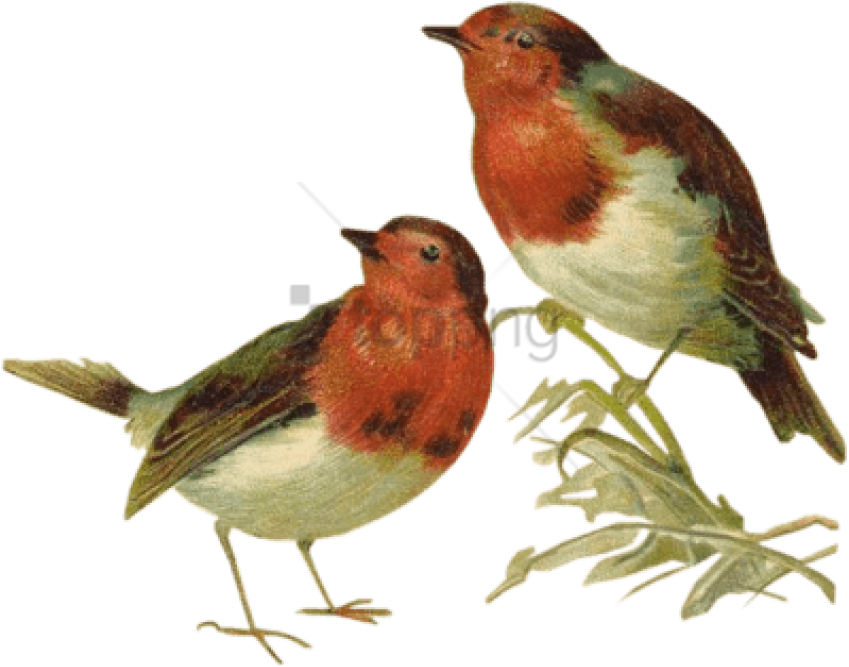 Free Png Victorian Birds Png Image With Transparent - Victorian Birds Clipart (850x674), Png Download