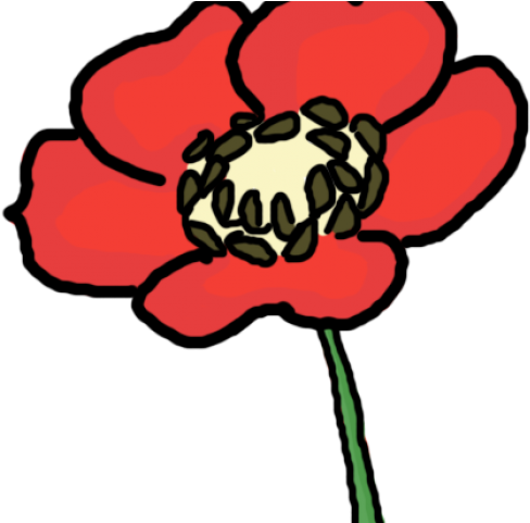 Red Flower Clipart Anzac Poppy - Opium Flower Cartoon - Png Download (640x480), Png Download