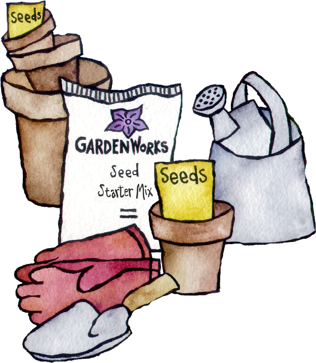 Garden Supplies - Cartoon Clipart (1114x1250), Png Download