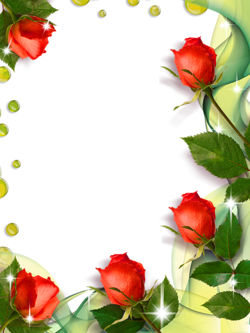 Beautiful Transparent Photo Frame With Roses - Roses Borders And Frames Clipart (800x1066), Png Download