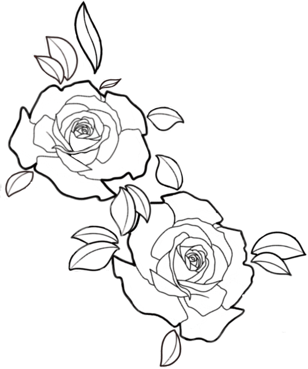 #roses #flowers #design #floral #freetoedit - Floribunda Clipart (1024x1228), Png Download