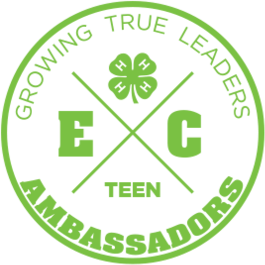 4-h Teen Ambassador - Logo Clipart (555x557), Png Download