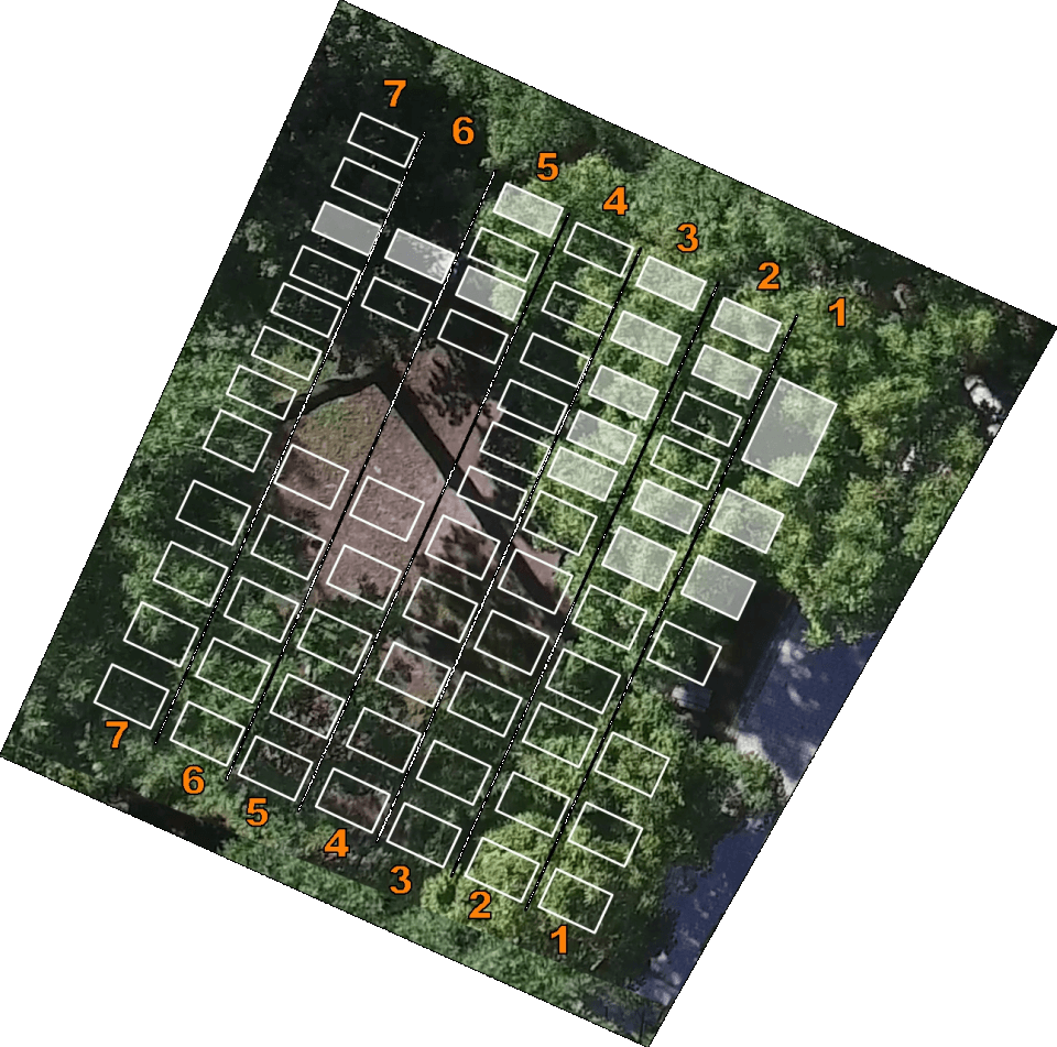 Iv - Grass Clipart (960x951), Png Download