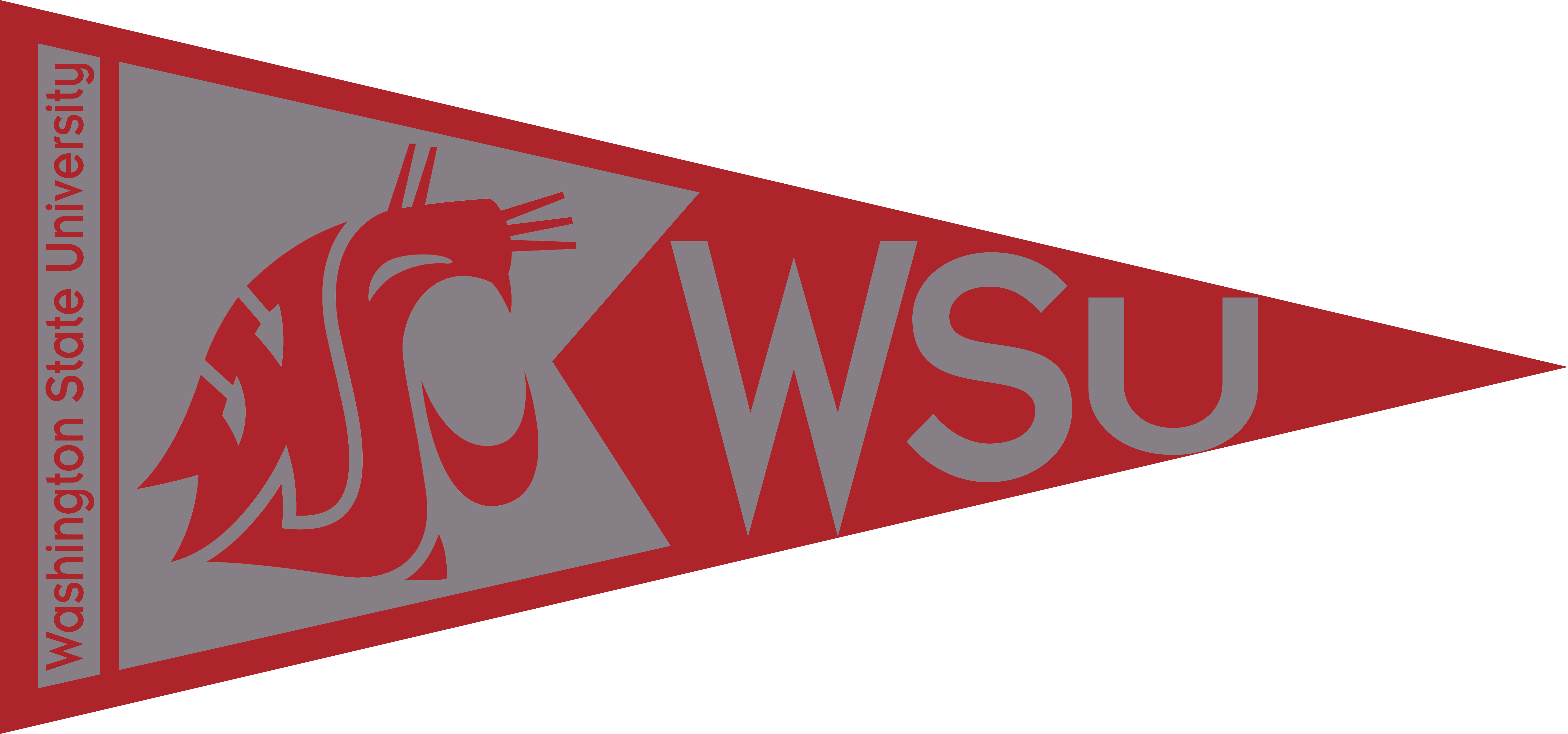 Washington State University Pennant - College Pennants In Washington Clipart (10000x4682), Png Download