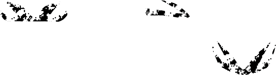 Illustration Clipart (1000x400), Png Download