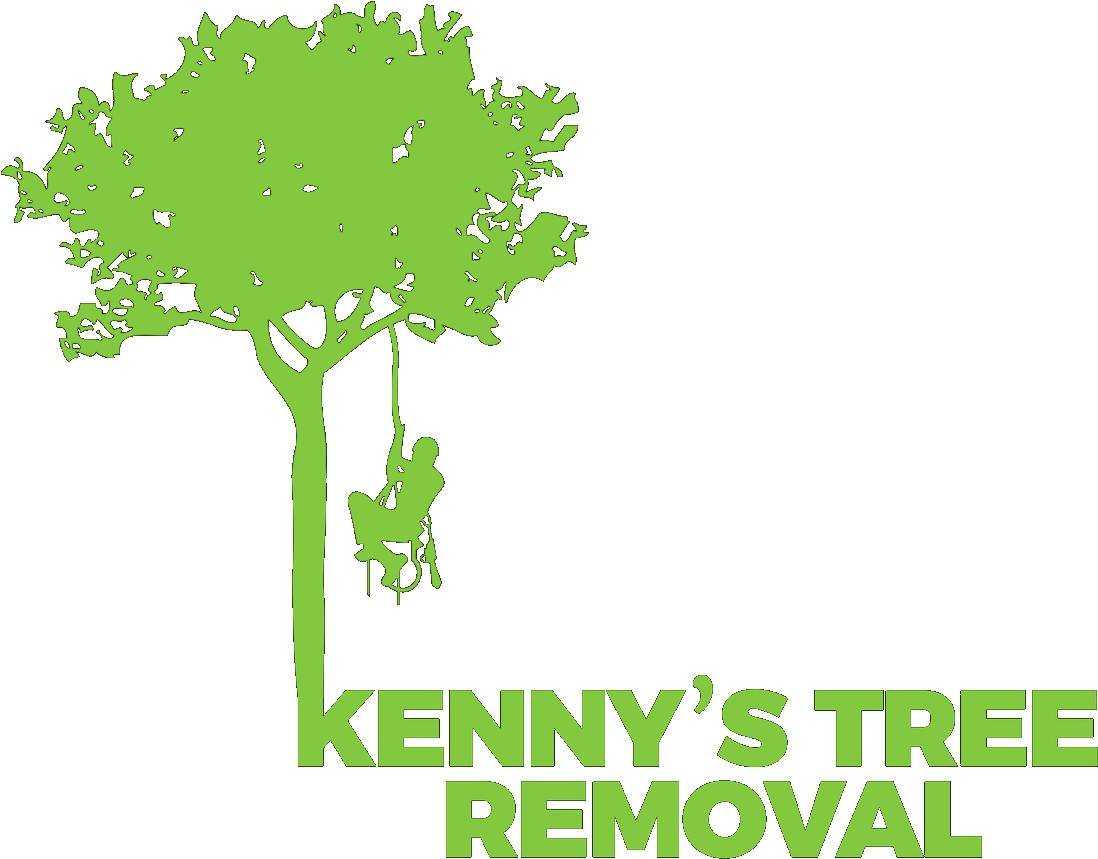 Menu - Tree Clipart (1220x1220), Png Download