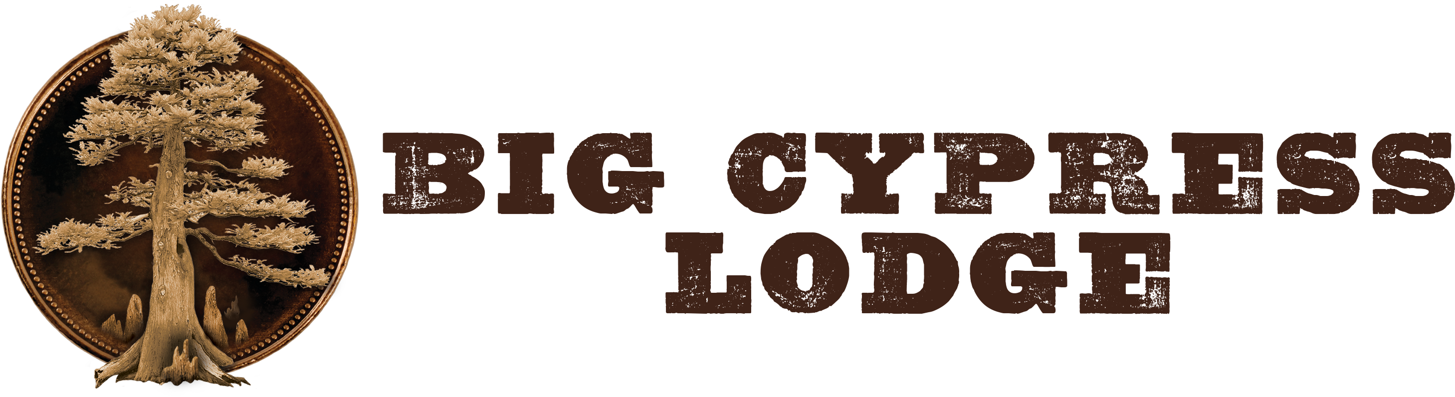 The Winner Of The Bass Pro Shops Tournament Will Receive - Parallel Clipart (3000x808), Png Download