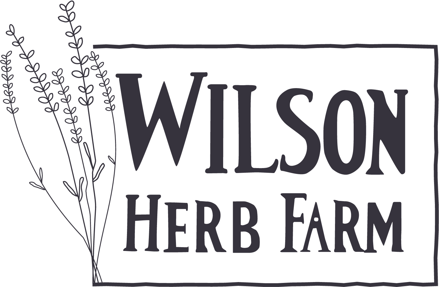 Wilson Herb Farm - Calligraphy Clipart (1675x1108), Png Download