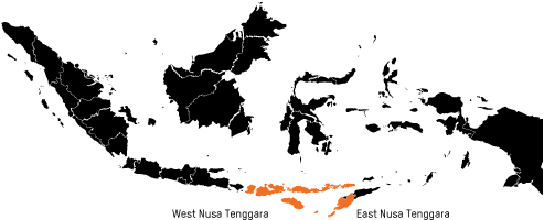 Working Area In Indonesia - Indonesia Map Black And White Clipart (510x680), Png Download