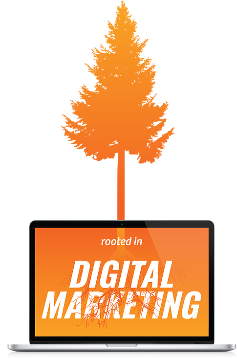 Tree Full - White Pine Clipart (493x732), Png Download