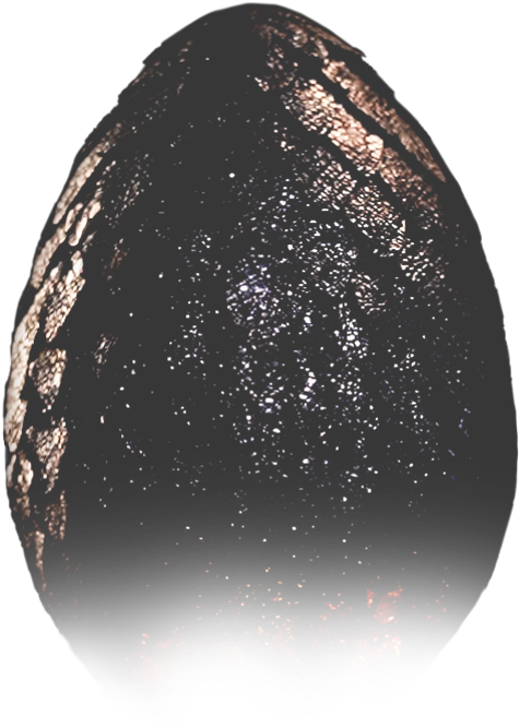 The Egg's Watch - Tieks Drago Clipart (1920x970), Png Download