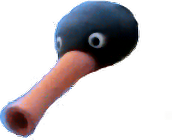 #pingu #nootnoot #meme - Oystercatcher Clipart (572x468), Png Download