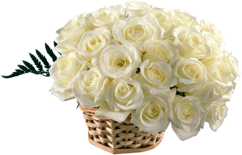 Download White Roses Basket Bouquet Png Images Background - White Roses Bouquet Png Clipart (850x577), Png Download