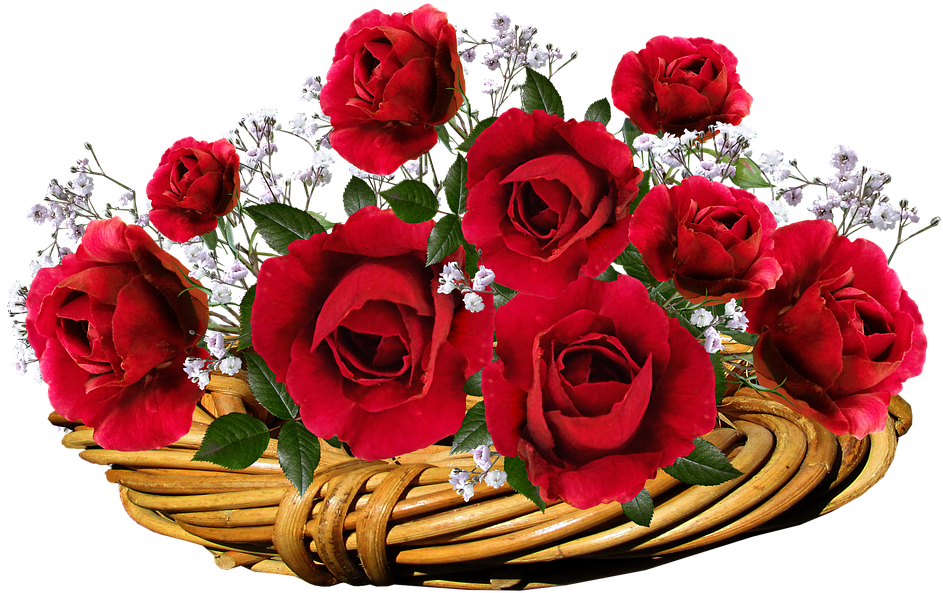 Roses Red Flowers Romantic Valentine Basket - ดอกไม้ ตะกร้า สี แดง Clipart (960x617), Png Download