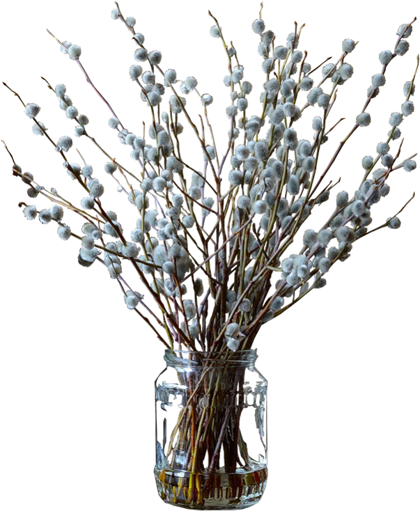 X Table Flowers, Flower Vases, Flower Art, Green Plants, - Vase Clipart (615x745), Png Download