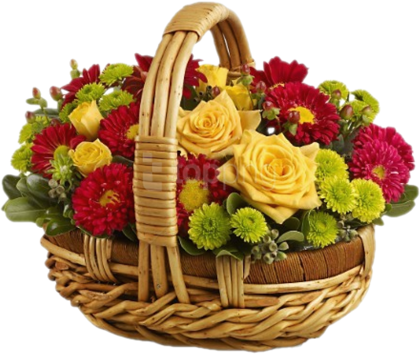 Download Large Transparent Flower Basket Png Images - Bundle Of Flower Clipart (850x723), Png Download