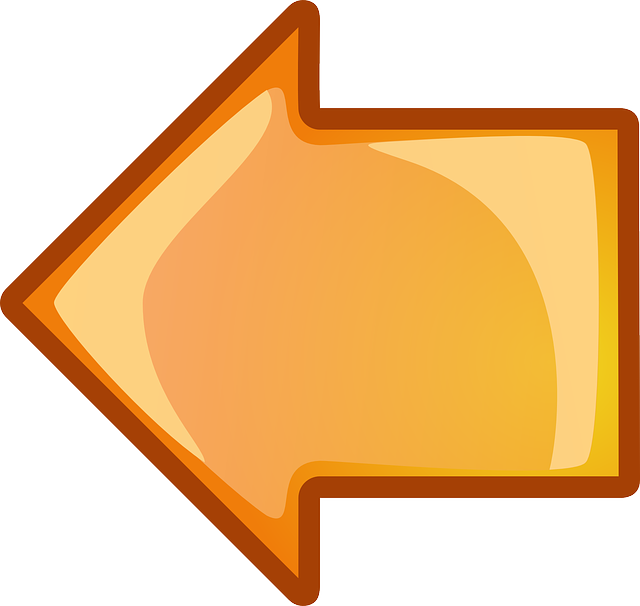 Computer, Back, Icon, Left, Right, Arrow, Cartoon - Left Arrow Png Orange Clipart (640x606), Png Download