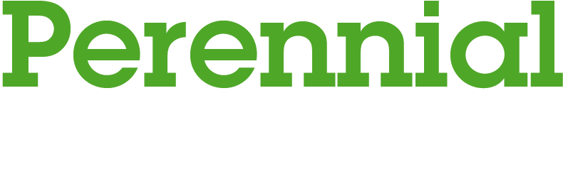 Logo - Special Lite Clipart (860x379), Png Download