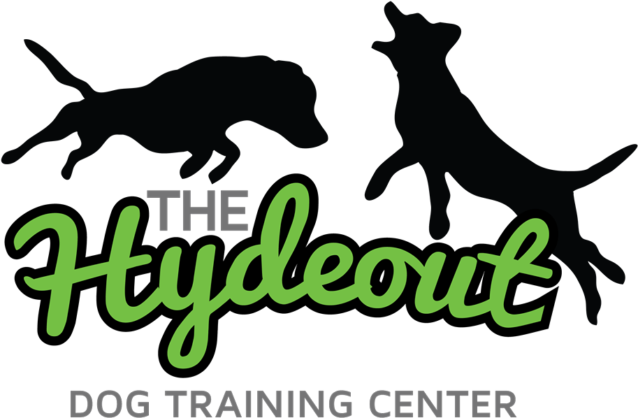 Dog Catches Something Clipart (960x679), Png Download